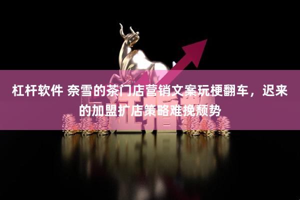 杠杆软件 奈雪的茶门店营销文案玩梗翻车，迟来的加盟扩店策略难挽颓势