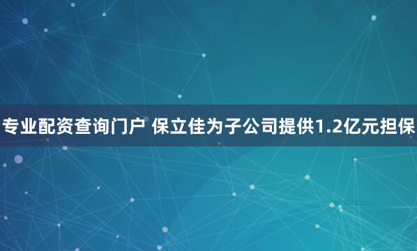 专业配资查询门户 保立佳为子公司提供1.2亿元担保